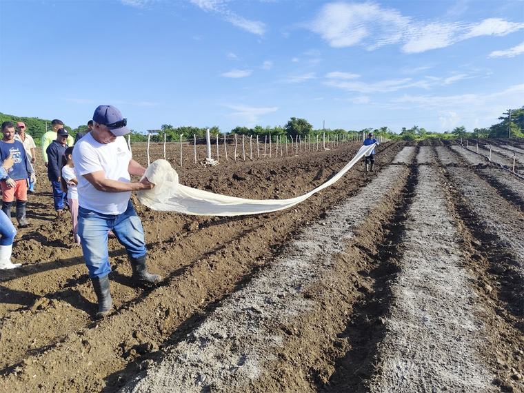 Experiencias tabacaleras