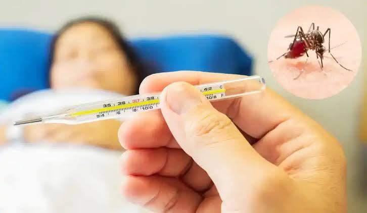 Autoridades sanitarias potencian las pesquisas, control vectorial y vigilancia internacional
