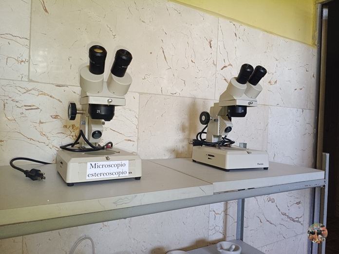 Aún sin certificación servicio de hematología bovina en Jobabo