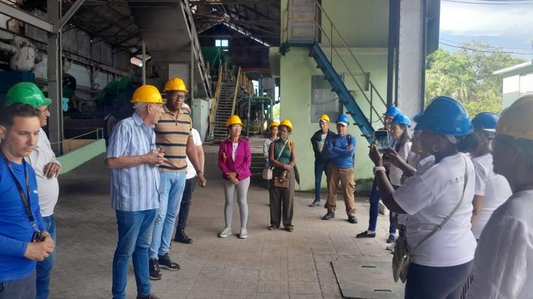 Impulsan «empleos verdes» para jóvenes con el sector azucarero cubano